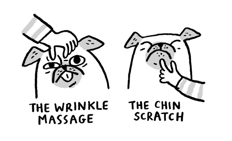 https://cdn-dev.tinyview.com/gemma/2022/03/16/pug-massage-techniques/1.jpg