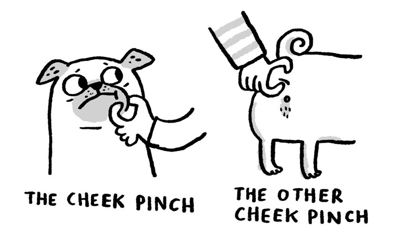 https://cdn-dev.tinyview.com/gemma/2022/03/16/pug-massage-techniques/3.jpg