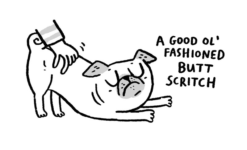 https://cdn-dev.tinyview.com/gemma/2022/03/16/pug-massage-techniques/4.jpg