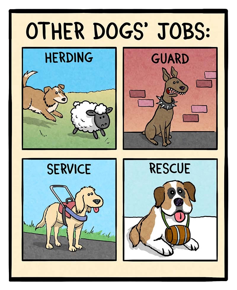 https://cdn-dev.tinyview.com/gemma/2025/12/01/1-dec-second-comic/dog-jobs-2.jpeg