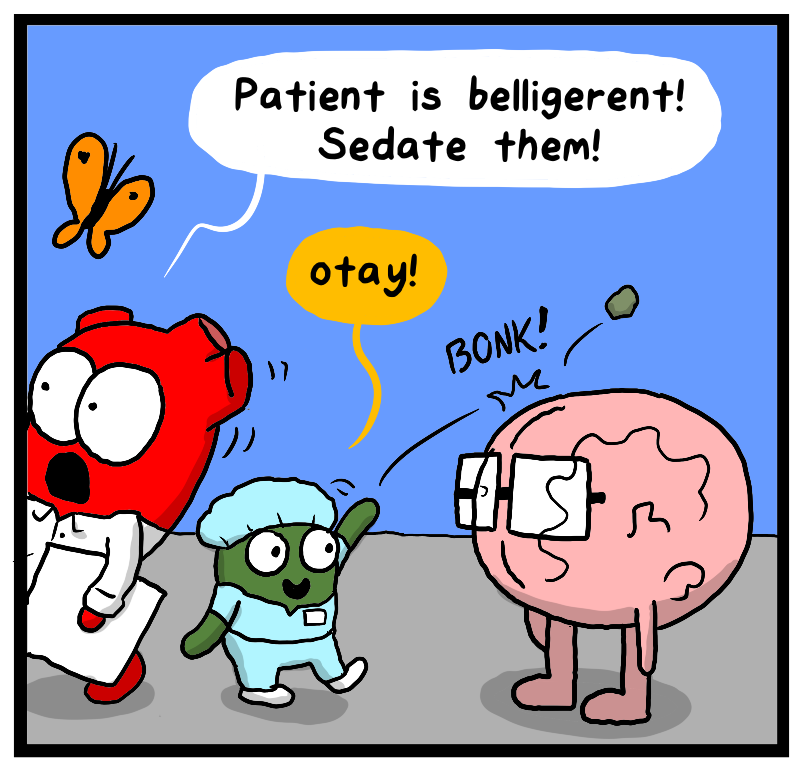 https://cdn-dev.tinyview.com/heart-and-brain/2023/09/05/addiction/IMG_1899.png