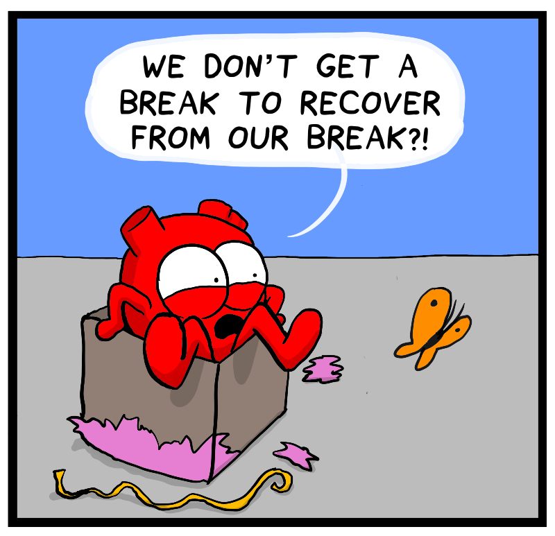 https://cdn-dev.tinyview.com/heart-and-brain/2023/12/26/aftermath/IMG_2267.png