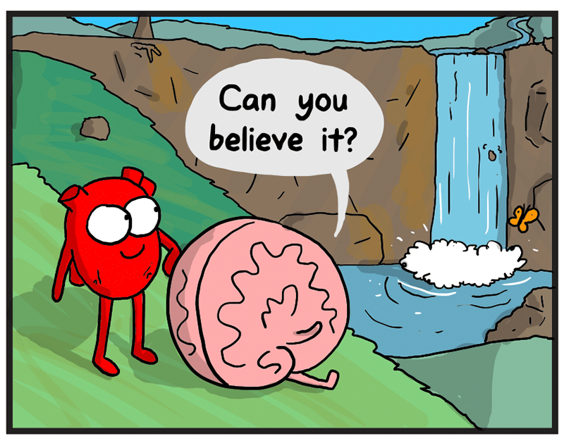 https://cdn-dev.tinyview.com/heart-and-brain/2026/05/24/nature/1.png