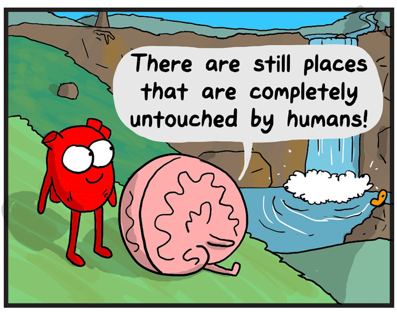 https://cdn-dev.tinyview.com/heart-and-brain/2026/05/24/nature/12.png