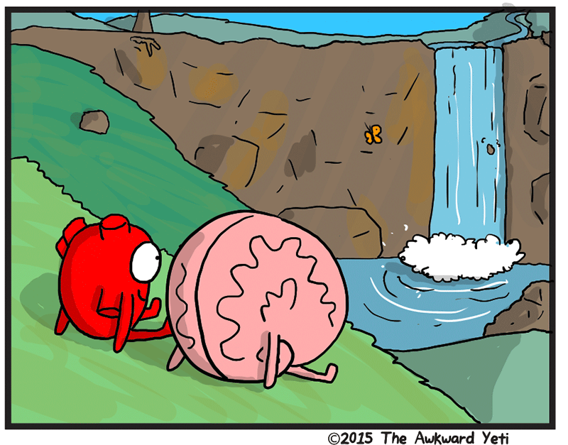 https://cdn-dev.tinyview.com/heart-and-brain/2026/05/24/nature/2.png