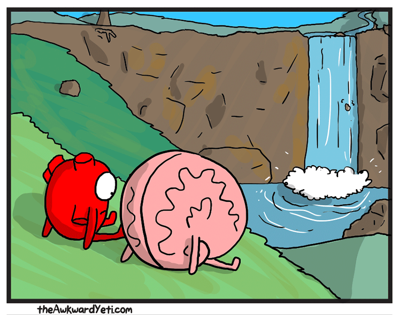 https://cdn-dev.tinyview.com/heart-and-brain/2026/05/24/nature/3.png