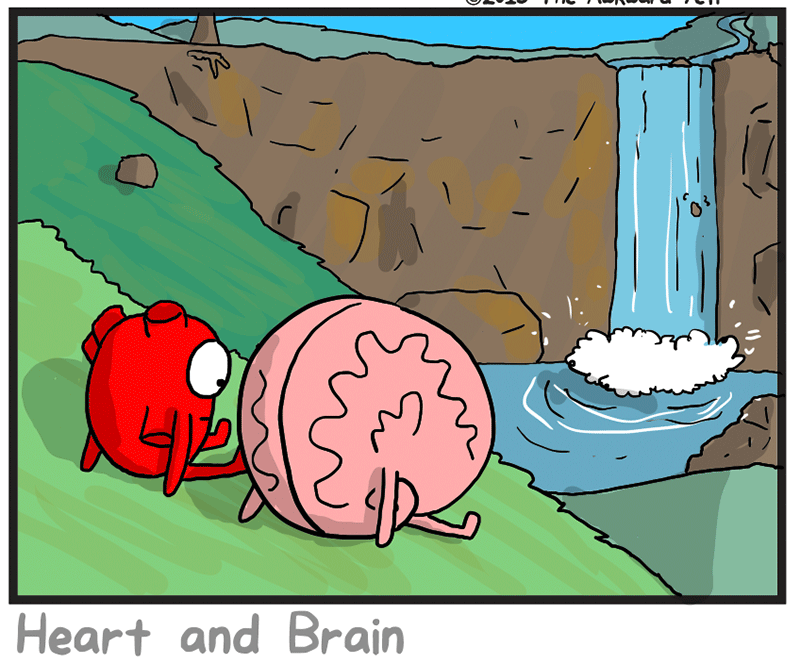 https://cdn-dev.tinyview.com/heart-and-brain/2026/05/24/nature/4.png