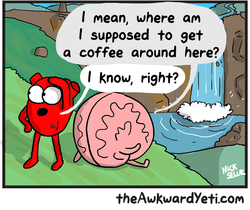 https://cdn-dev.tinyview.com/heart-and-brain/2026/05/24/nature/6.png