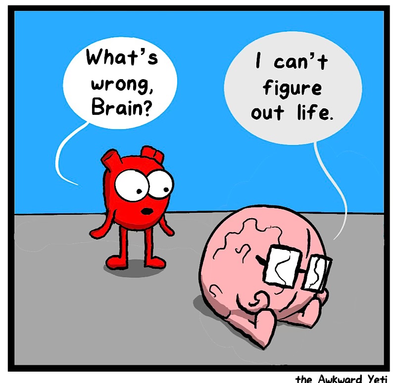 https://cdn-dev.tinyview.com/heart-and-brain/2026/06/11/whims/IMG_5384-compressed.jpeg