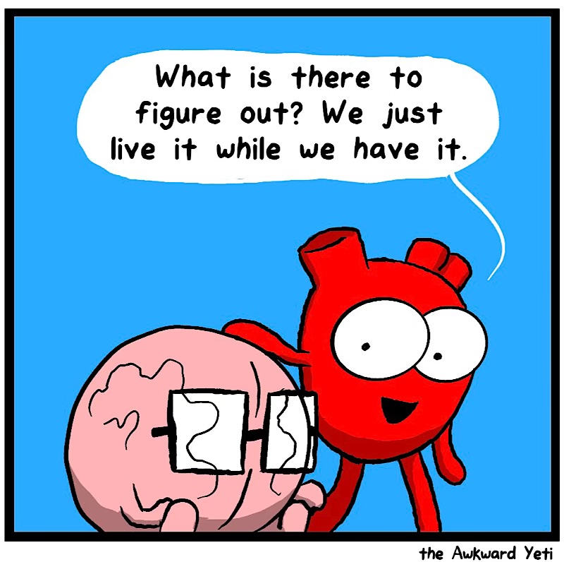 https://cdn-dev.tinyview.com/heart-and-brain/2026/06/11/whims/IMG_5385-compressed.jpeg