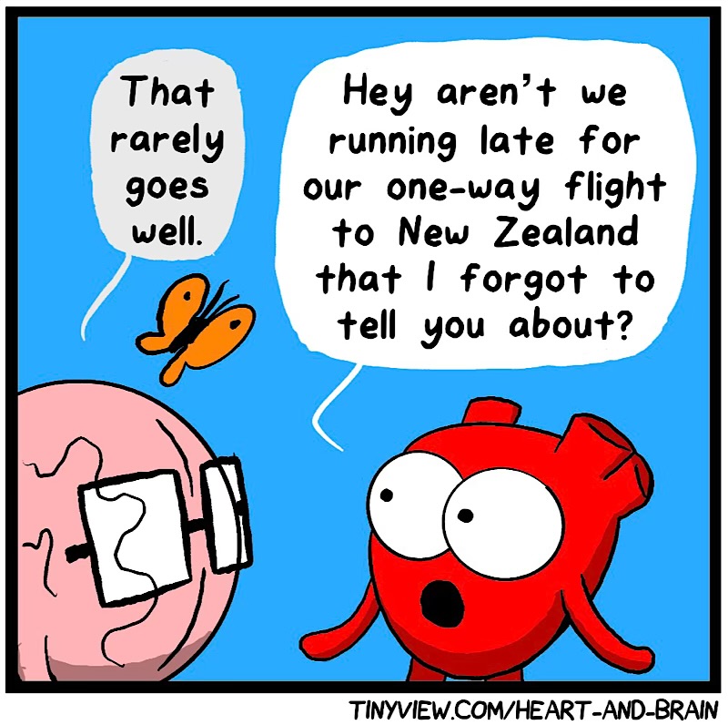 https://cdn-dev.tinyview.com/heart-and-brain/2026/06/11/whims/IMG_5387-compressed.jpeg