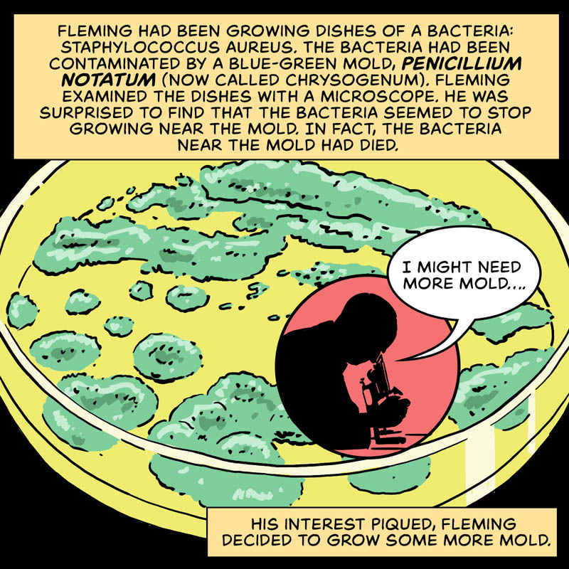 https://cdn-dev.tinyview.com/in-science-we-trust/2025/03/17/who-discovered-penicillin/penicillin-03.jpg