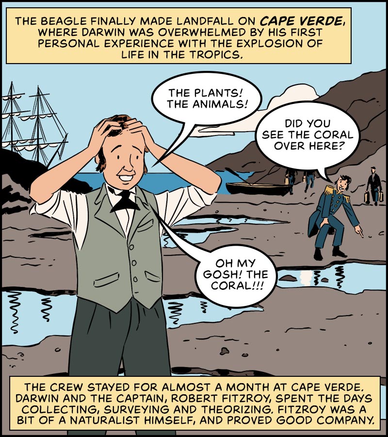https://cdn-dev.tinyview.com/in-science-we-trust/charles-darwin/part-2/beagle-04-capeverde.jpg