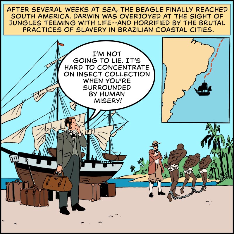 https://cdn-dev.tinyview.com/in-science-we-trust/charles-darwin/part-2/beagle-06-brazilslavery.jpg