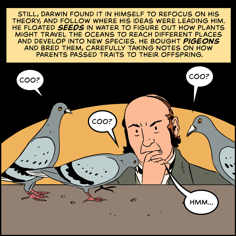 https://cdn-dev.tinyview.com/in-science-we-trust/charles-darwin/part-3/origin-13-pigeons.jpg