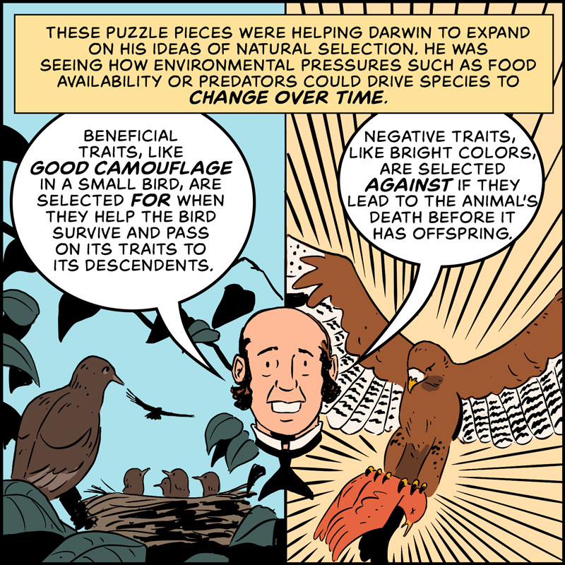 https://cdn-dev.tinyview.com/in-science-we-trust/charles-darwin/part-3/origin-14-speciation.jpg