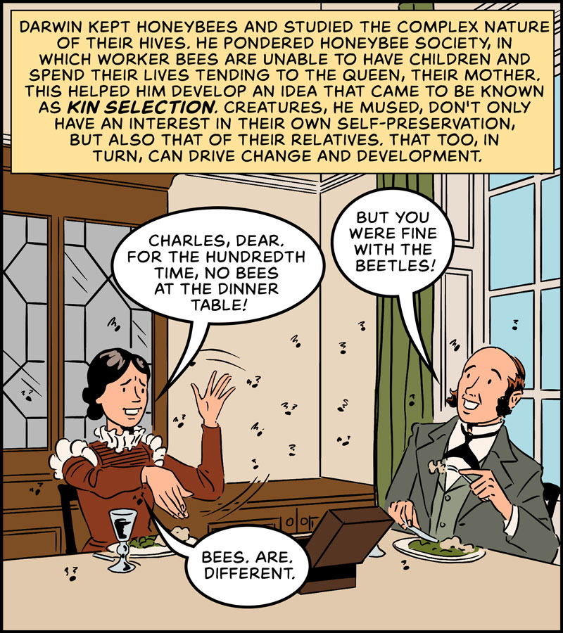 https://cdn-dev.tinyview.com/in-science-we-trust/charles-darwin/part-3/origin-15-kin-selection.jpg