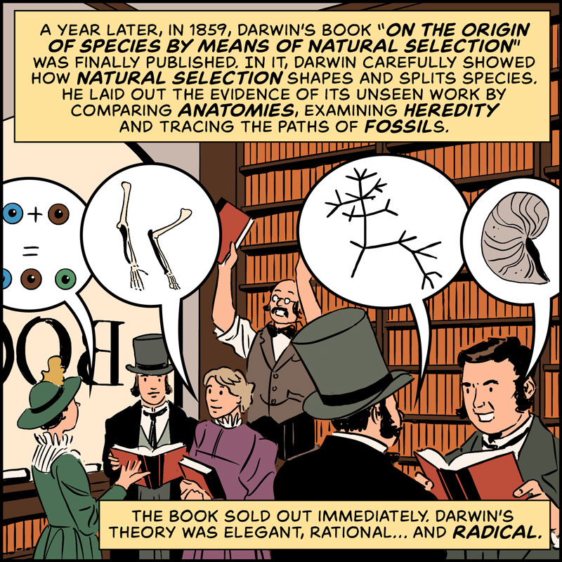 https://cdn-dev.tinyview.com/in-science-we-trust/charles-darwin/part-3/origin-19-origin-of-species.jpg