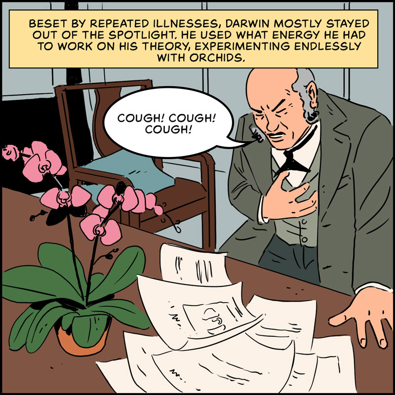 https://cdn-dev.tinyview.com/in-science-we-trust/charles-darwin/part-3/origin-21-orchids.jpg