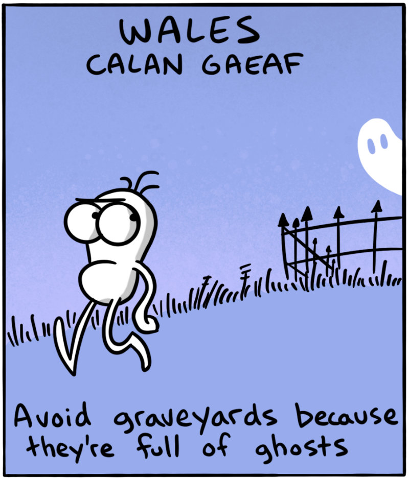 https://cdn-dev.tinyview.com/itchy-feet/2021/10/24/deadly-days/3.jpg