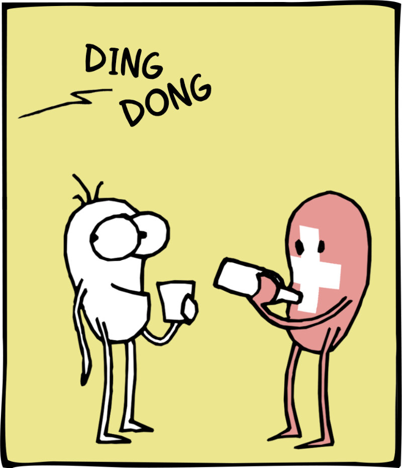 https://cdn-dev.tinyview.com/itchy-feet/2024/07/09/punctuality/3_2.jpg