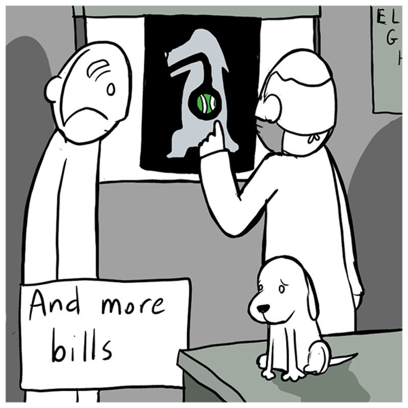 https://cdn-dev.tinyview.com/lunarbaboon/2022/08/27/dog/dogpanel4.jpg
