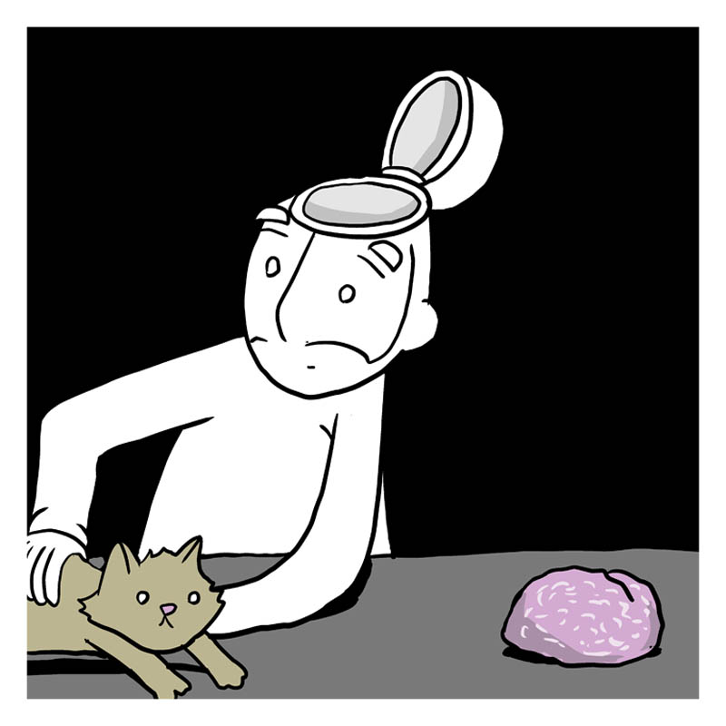 https://cdn-dev.tinyview.com/lunarbaboon/2024/12/04/rebrain/panel4brain.jpg
