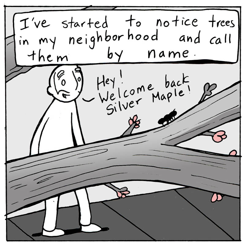 https://cdn-dev.tinyview.com/lunarbaboon/2025/03/29/old/panel1-2025-03-29T152758.787.jpg