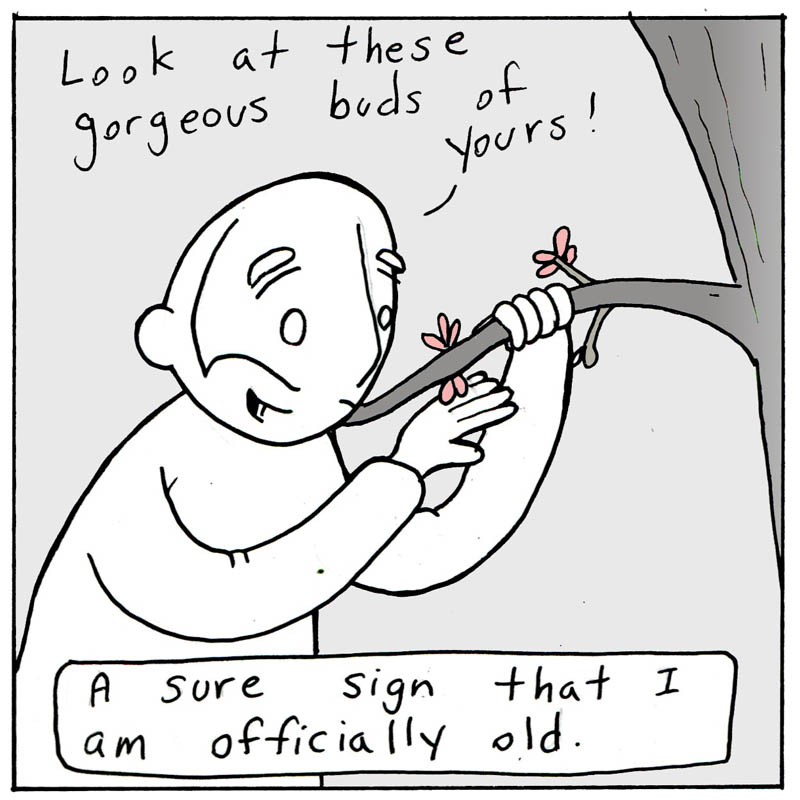 https://cdn-dev.tinyview.com/lunarbaboon/2025/03/29/old/panel2-2025-03-29T152755.044.jpg