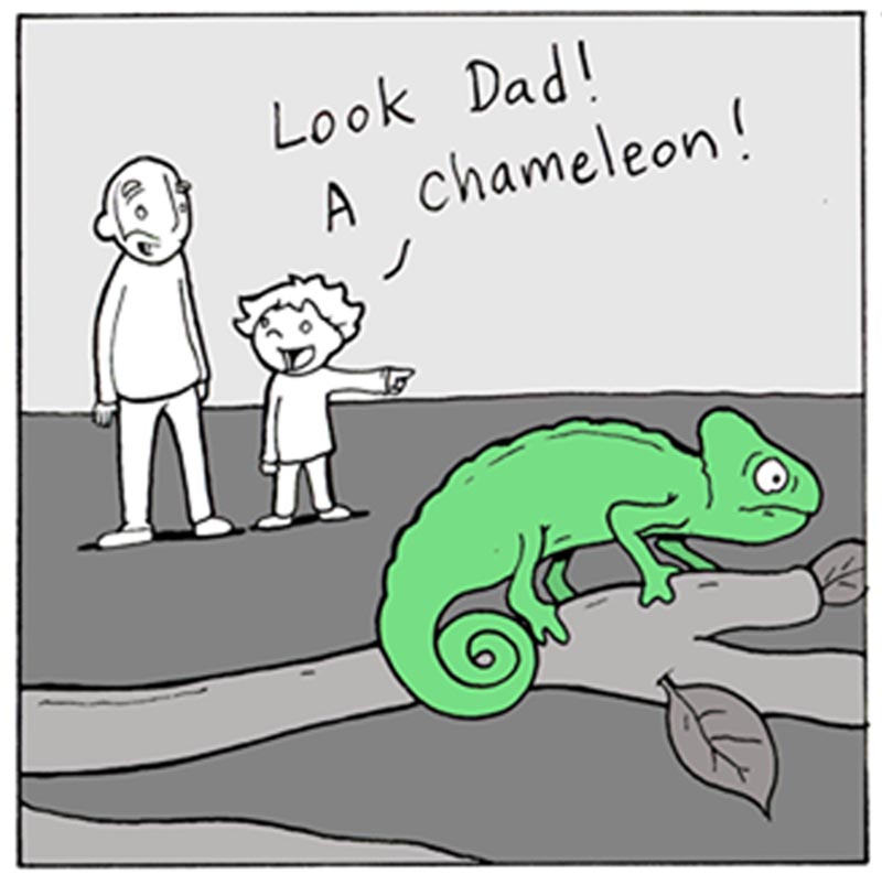 https://cdn-dev.tinyview.com/lunarbaboon/2025/09/07/chameleon/panel1chameleon.jpg