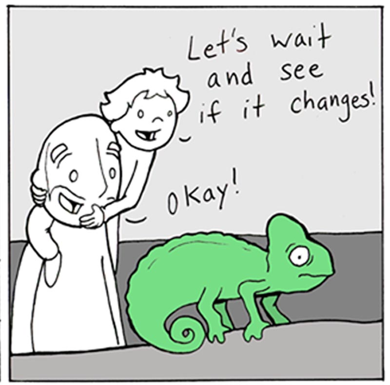 https://cdn-dev.tinyview.com/lunarbaboon/2025/09/07/chameleon/panel2chameleon.jpg