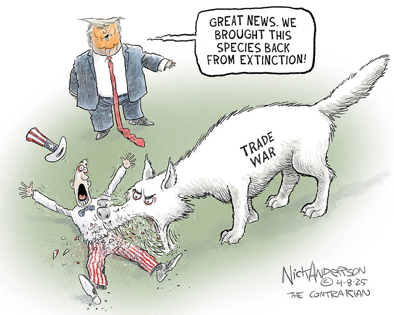 https://cdn-dev.tinyview.com/nick-anderson/2025/04/08/dire-wolf/tv.040825.Dire-Wolf-Trade-War-copy.jpg