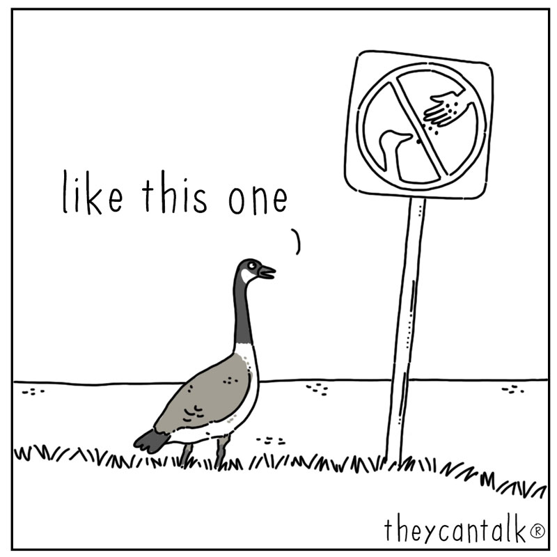 https://cdn-dev.tinyview.com/product-plug/2025/12/09/final-testing-of-publish-later-comic-no-9/goose_rules2.jpg