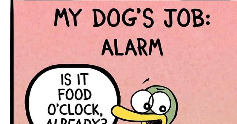 https://cdn-dev.tinyview.com/product-plug/dog-jobs-3.jpeg