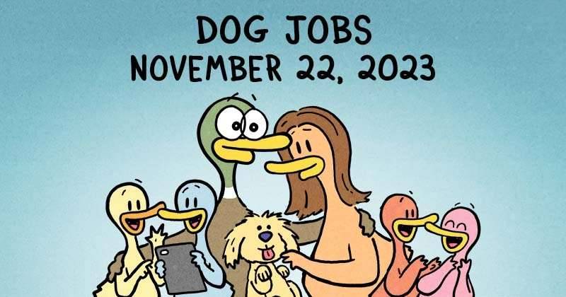https://cdn-dev.tinyview.com/product-plug/dog-jobs-header-image-.jpeg