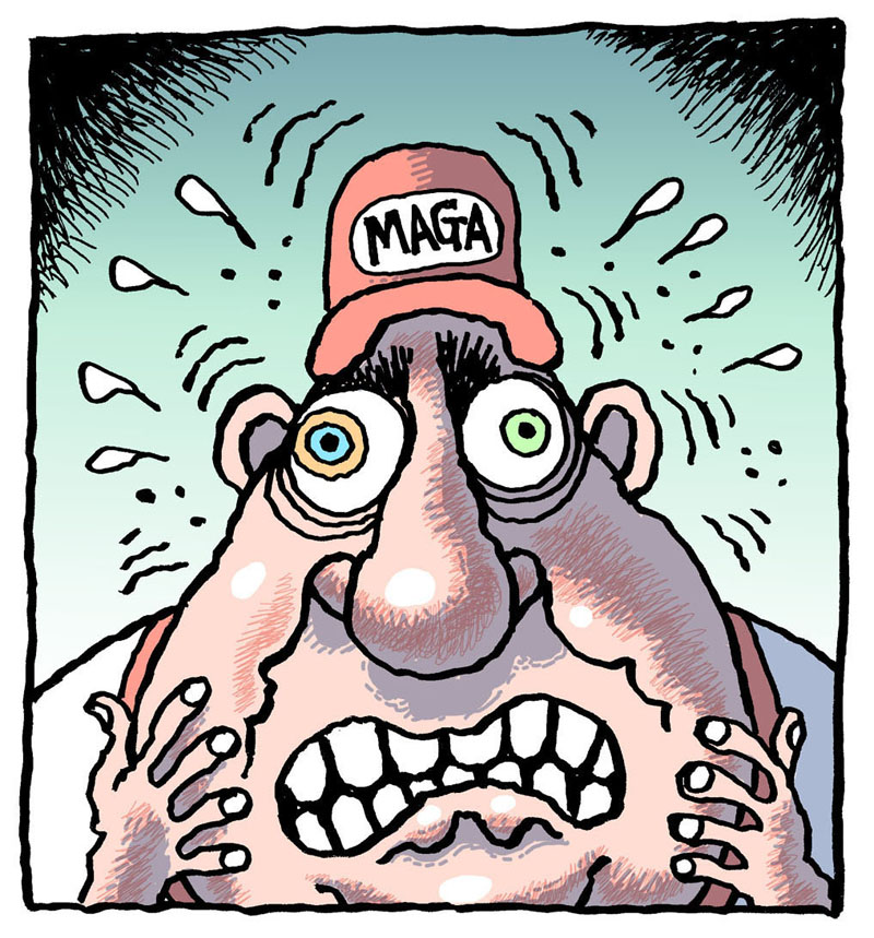 https://cdn-dev.tinyview.com/rob-rogers/2021/2021-02-11-maga-logic/20210211_MAGA_Logic5.jpg