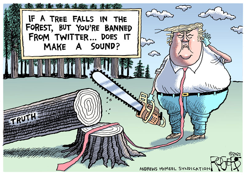 https://cdn-dev.tinyview.com/rob-rogers/2021/2021-03-23-a-tree-falling/20210323_A_Tree_Falling.jpg