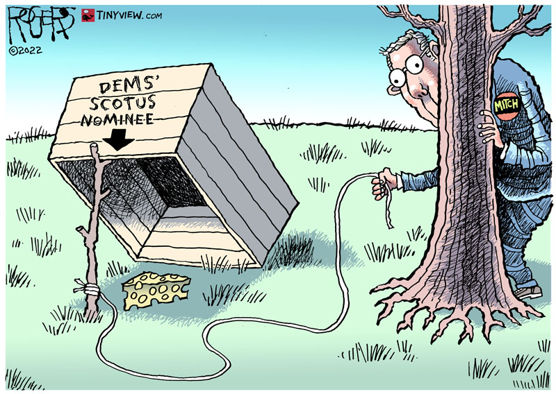 https://cdn-dev.tinyview.com/rob-rogers/2022/01/28/supreme-box/20220128_Supreme_Box.jpg