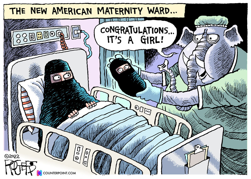 https://cdn-dev.tinyview.com/rob-rogers/2022/05/06/american-maternity/20220506_American_Maternity.jpg