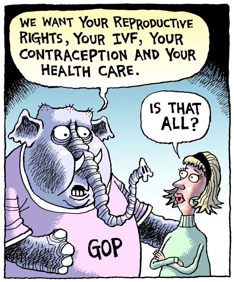 https://cdn-dev.tinyview.com/rob-rogers/2024/03/29/reproductive-vote/20240329_Reproductive_Vote1.jpg