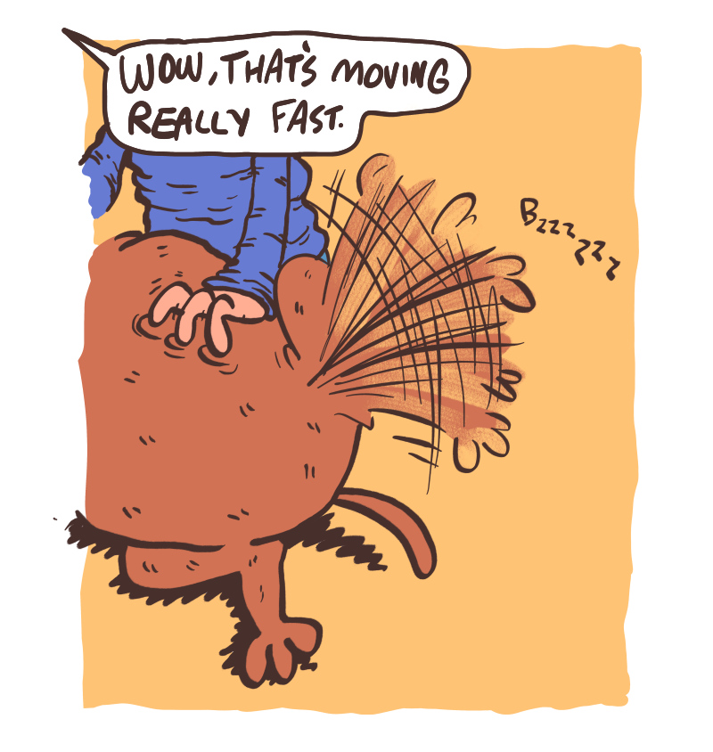 https://cdn-dev.tinyview.com/the-other-end/2024/08/30/belly-scratch/2.jpg