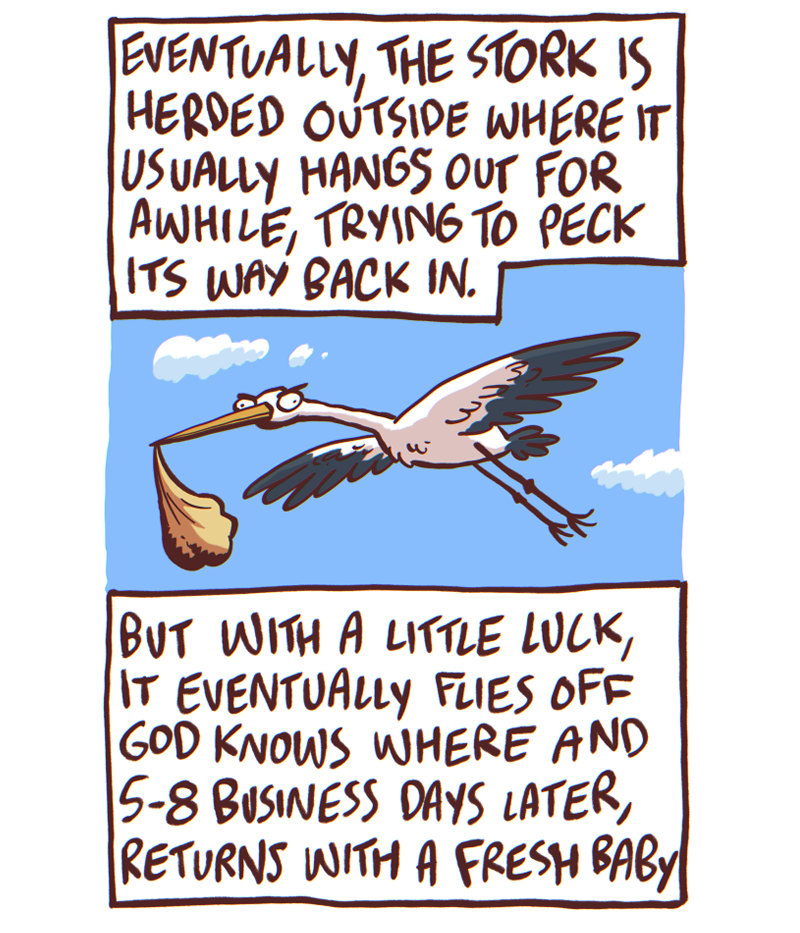 https://cdn-dev.tinyview.com/the-other-end/2024/10/12/stork/11.jpg