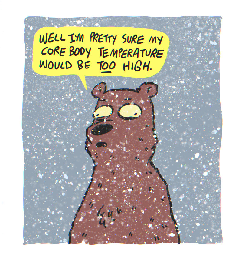 https://cdn-dev.tinyview.com/the-other-end/2025/01/03/goldilocks/3.jpg