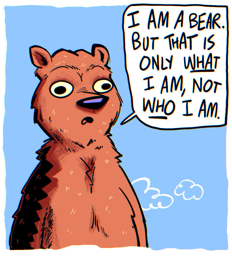 https://cdn-dev.tinyview.com/the-other-end/2025/07/05/just-bear-things/1.jpg