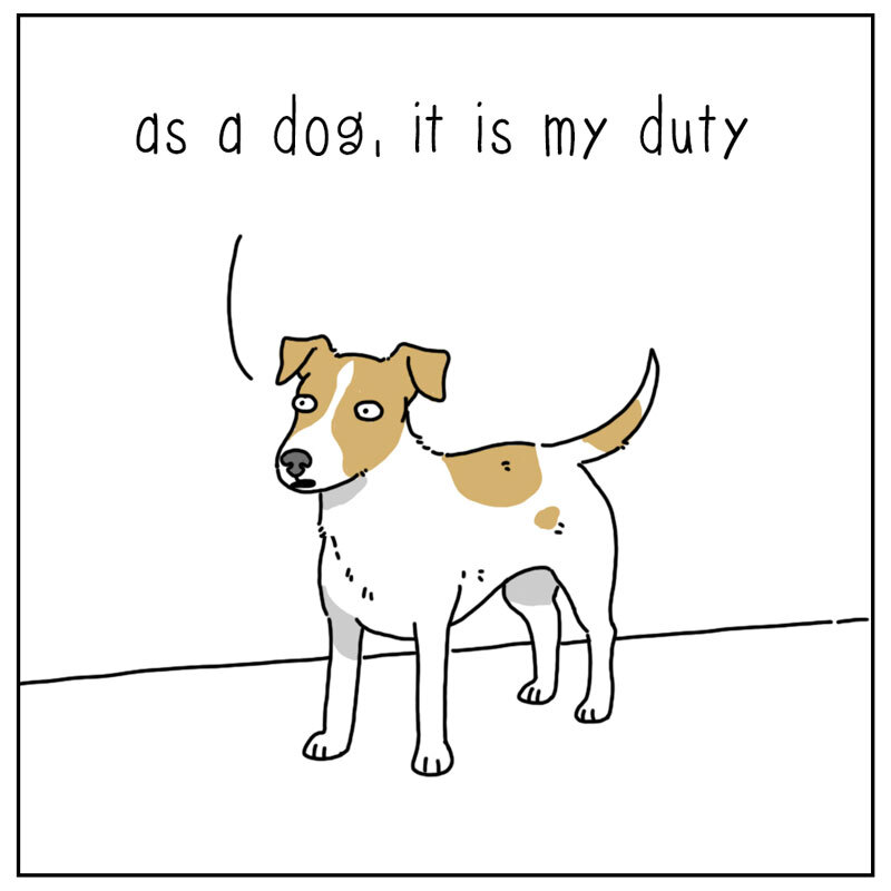 https://cdn-dev.tinyview.com/they-can-talk/2022/06/06/duty/dog_vacuum1.jpg