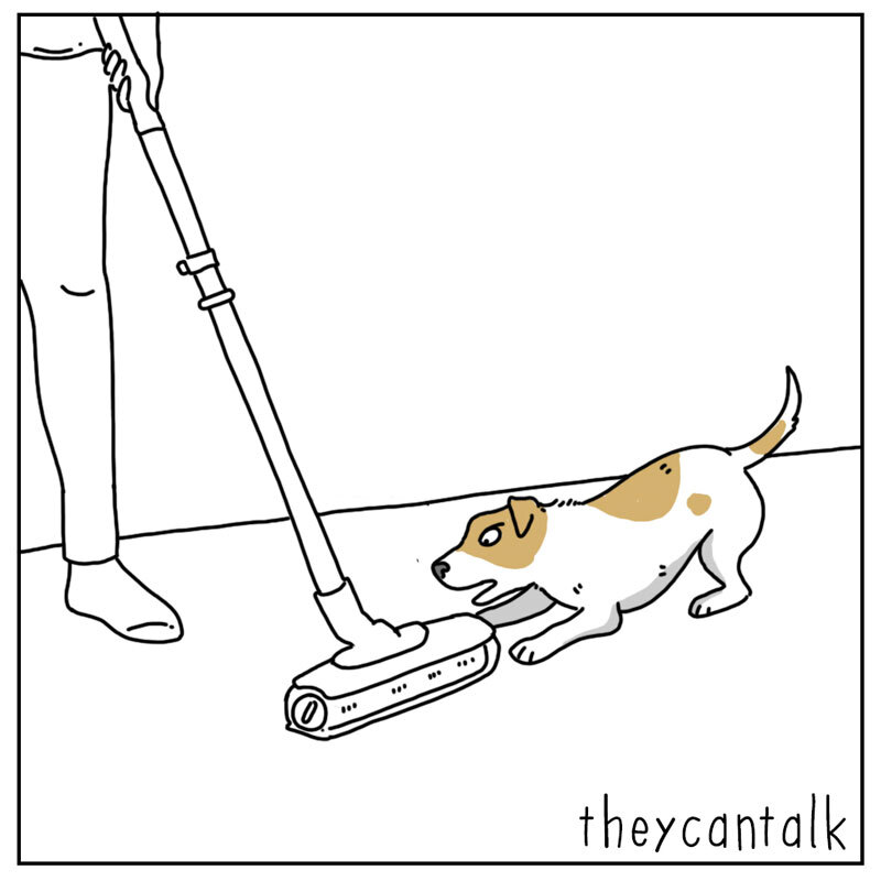 https://cdn-dev.tinyview.com/they-can-talk/2022/06/06/duty/dog_vacuum4.jpg