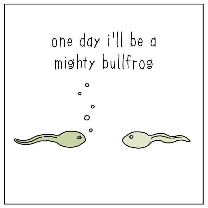 https://cdn-dev.tinyview.com/they-can-talk/2022/07/01/dream/tadpole_dream1.jpg