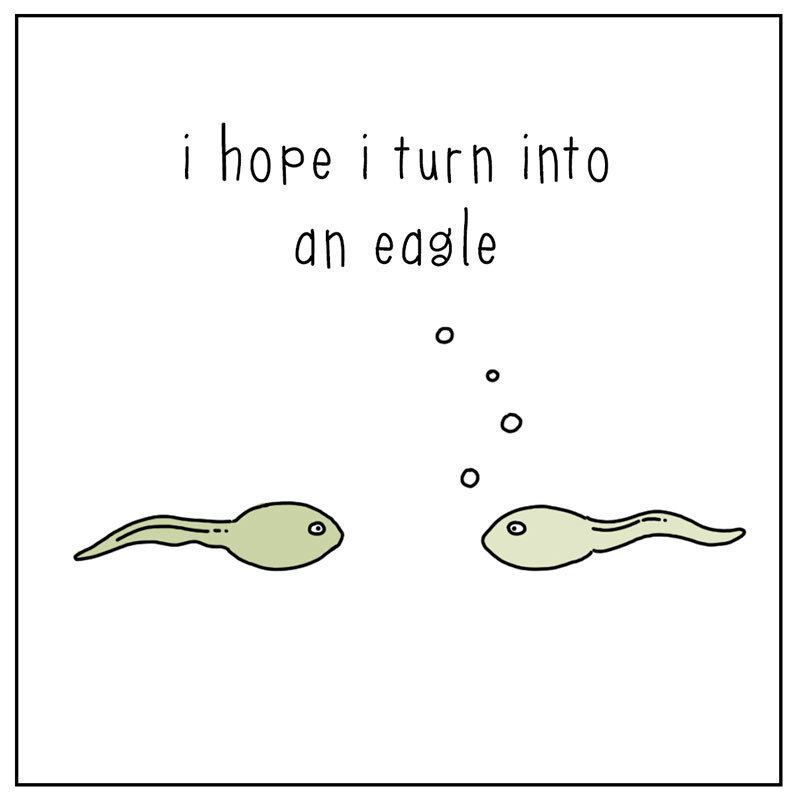 https://cdn-dev.tinyview.com/they-can-talk/2022/07/01/dream/tadpole_dream2.jpg