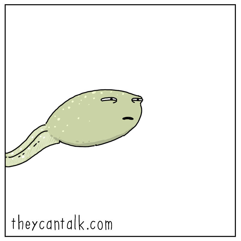 https://cdn-dev.tinyview.com/they-can-talk/2022/07/01/dream/tadpole_dream3.jpg