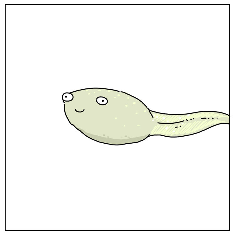 https://cdn-dev.tinyview.com/they-can-talk/2022/07/01/dream/tadpole_dream4.jpg